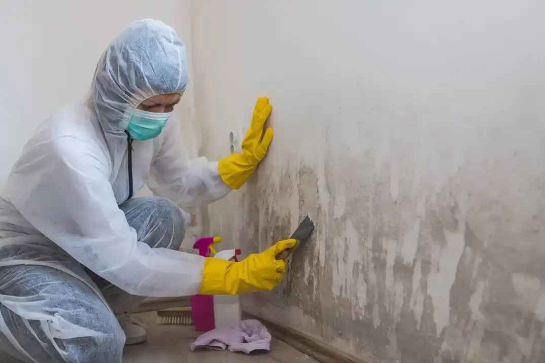 water damage restoration service Plaza Westport